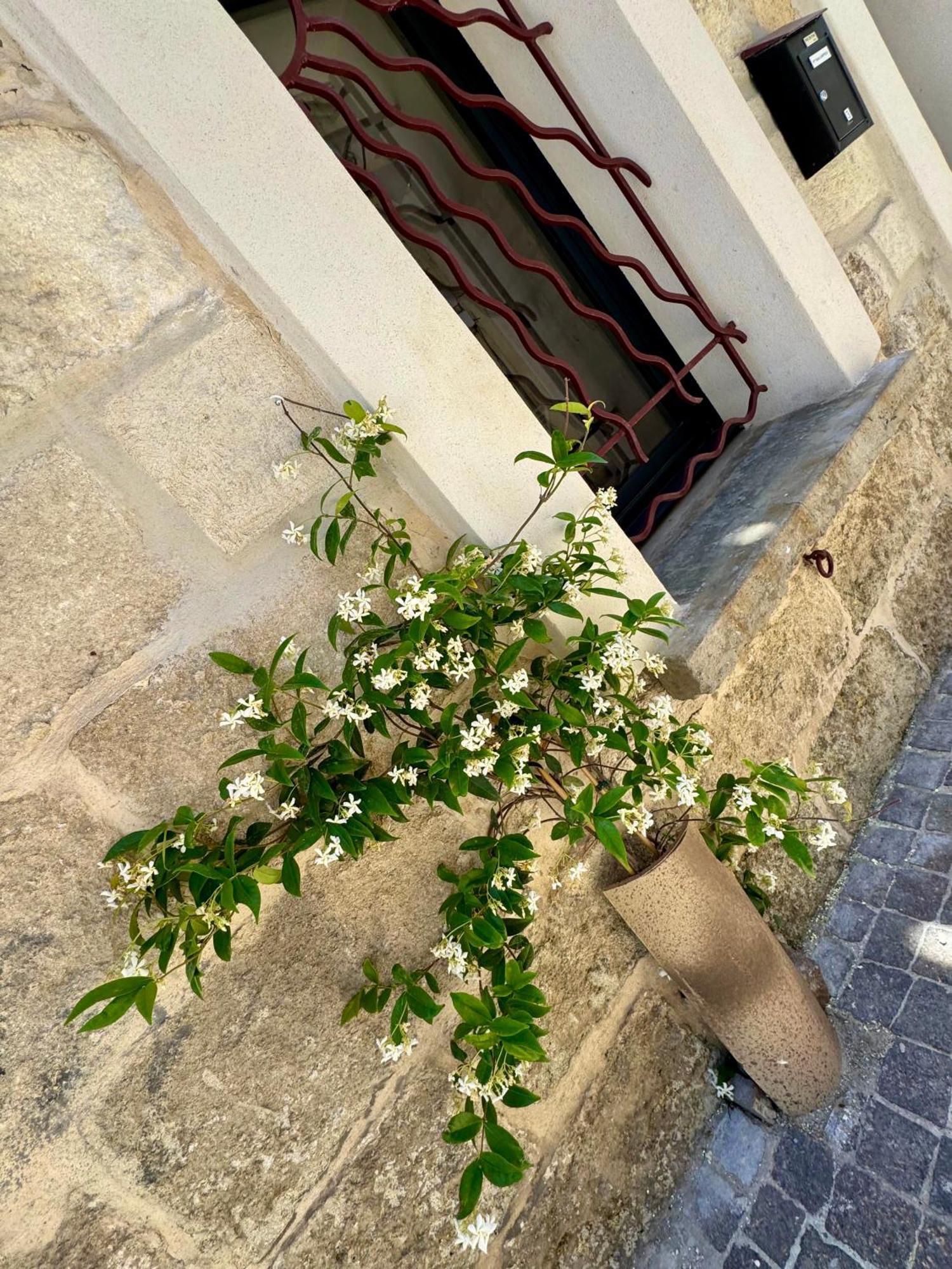 Maison De Village Renovee ! Le Grau-du-Roi Zewnętrze zdjęcie